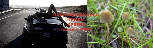 каннабис Арсеньев