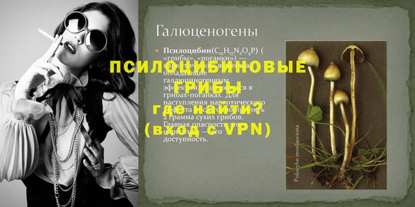 прущие крисы Балахна