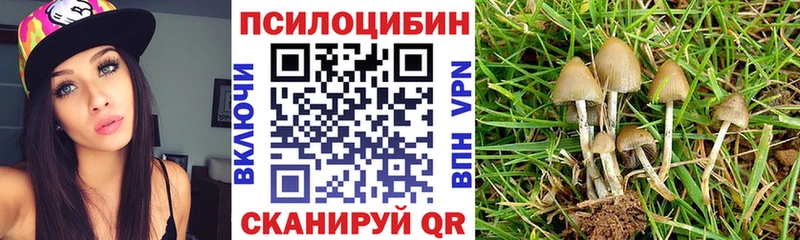 ссылка на мегу   Красный Холм  маркетплейс какой сайт  Галлюциногенные грибы Cubensis 